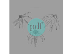 Rudbeckia' Floral PDF Embroidery Template