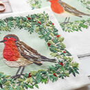 Robin Redbreast Bird Embroidery Pattern Design additional 6