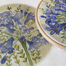 *NEW* Stitch Set: Agapanthus Embroidery Pattern with Stitch Guides additional 3