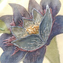 *NEW* Bluebell Cushion Front Embroidery Panel additional 4