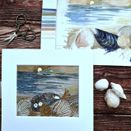 *NEW* Bantham Beach Shell Seaking Hand Embroidery Pattern (to fit 5x7 inch aperture mounts) additional 3