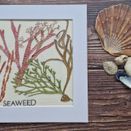 *NEW* Seaweed Hand embroidery panel to fit 6 inch mount or 8 inch frame additional 2