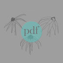 Rudbeckia' Floral PDF Embroidery Template additional 1