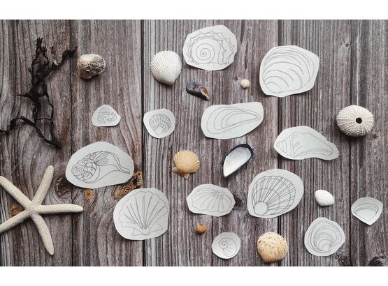 *NEW* Stick and Stitch Embroidery Templates : The Shell Set