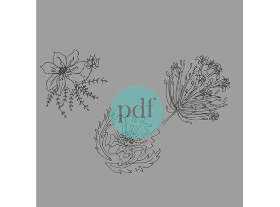 'Poppies & Agapanthus' Floral PDF Embroidery Template